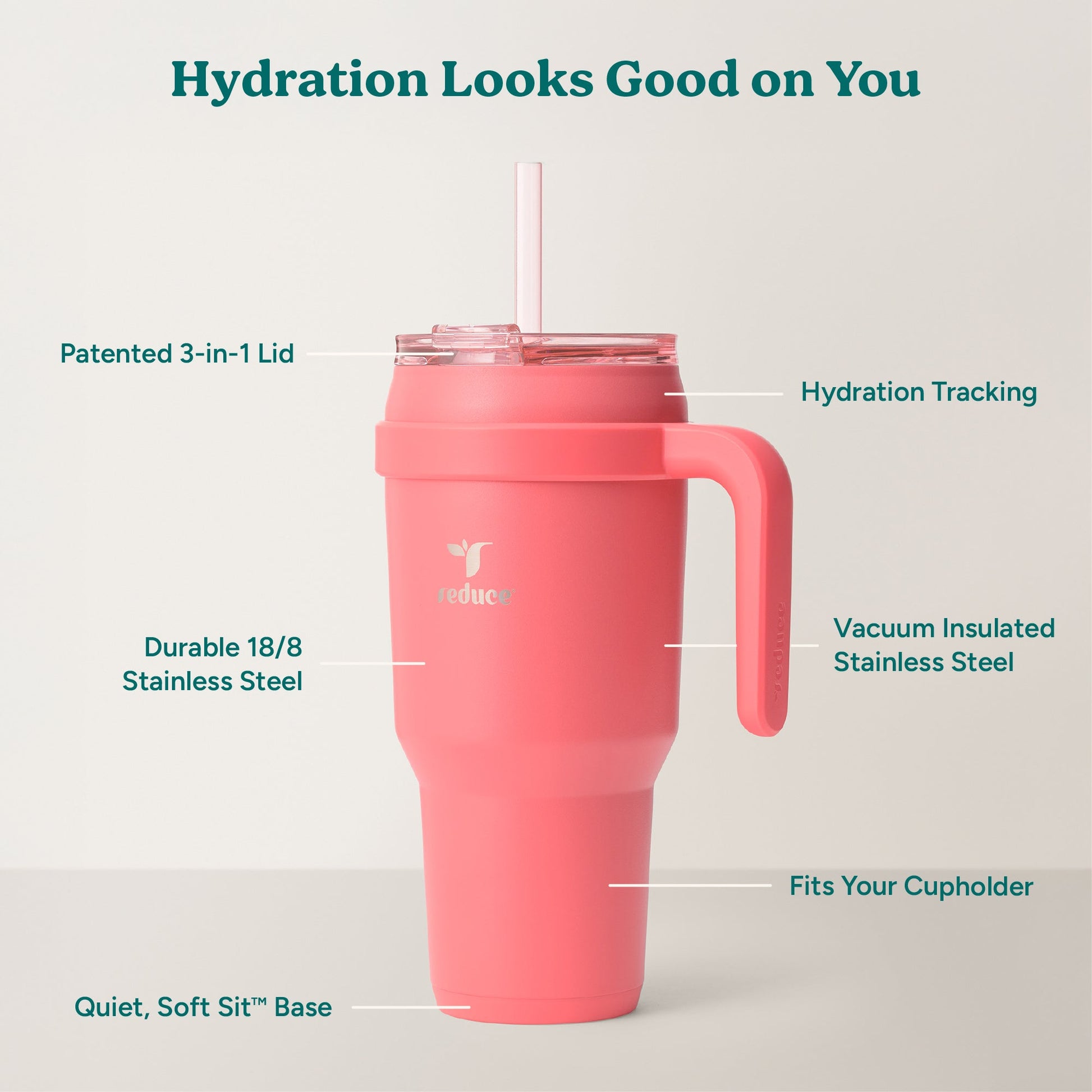 cold1-40-oz-o0 Cold1_40oz_Daiquiri_Infographic_2.jpg