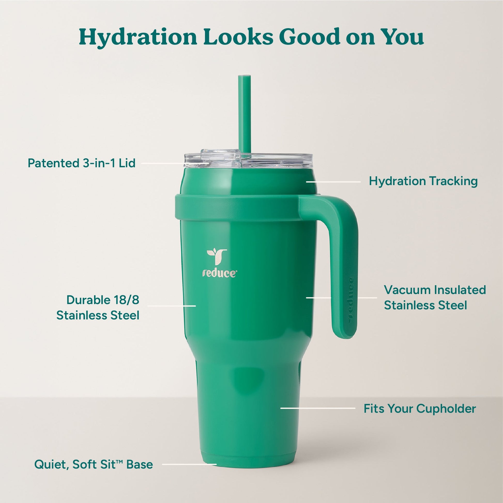 cold1-40-oz-o0 Cold1_40oz_PalmLeaf_Infographic_2.jpg