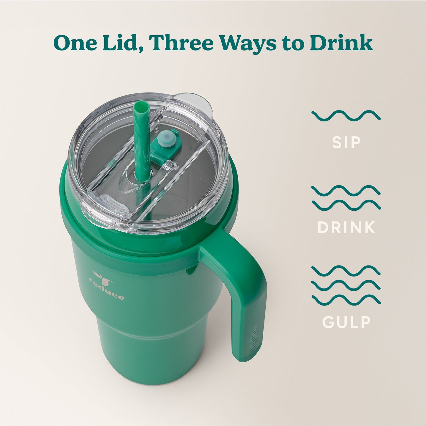 cold1-40-oz-o0 Cold1_40oz_PalmLeaf_Infographic_3.jpg