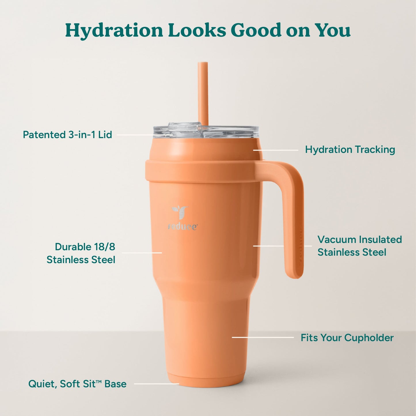 cold1-40-oz-o0 Cold1_40oz_Papaya_Infographic_2.jpg