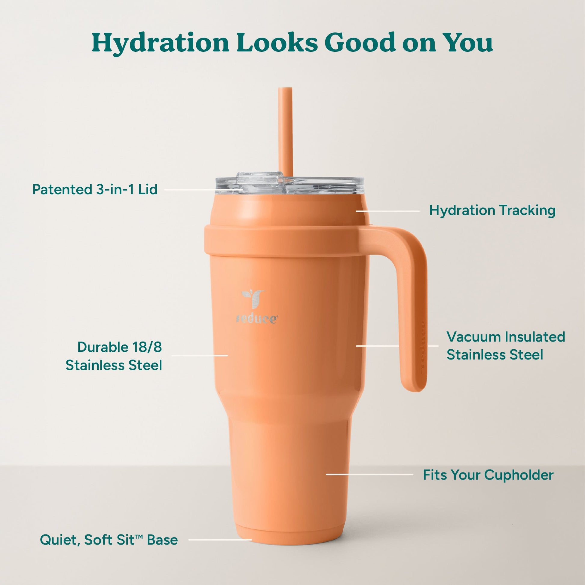 cold1-40-oz-o0 Cold1_40oz_Papaya_Infographic_2.jpg