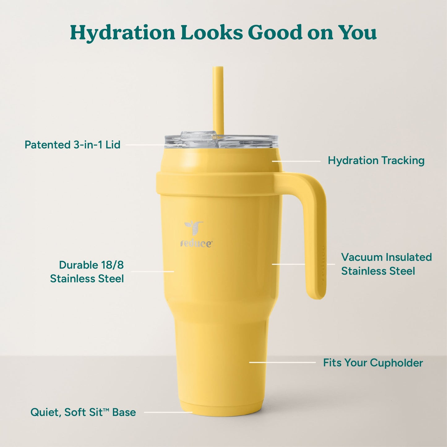 cold1-40-oz-o0 Cold1_40oz_Pineapple_Infographic_2.jpg